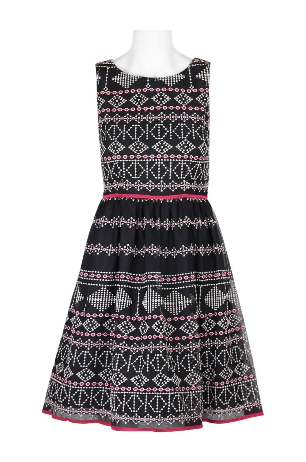 Taylor Chic Embroidered Mesh A-Line Dress with Boat Neck and Back Zipper
