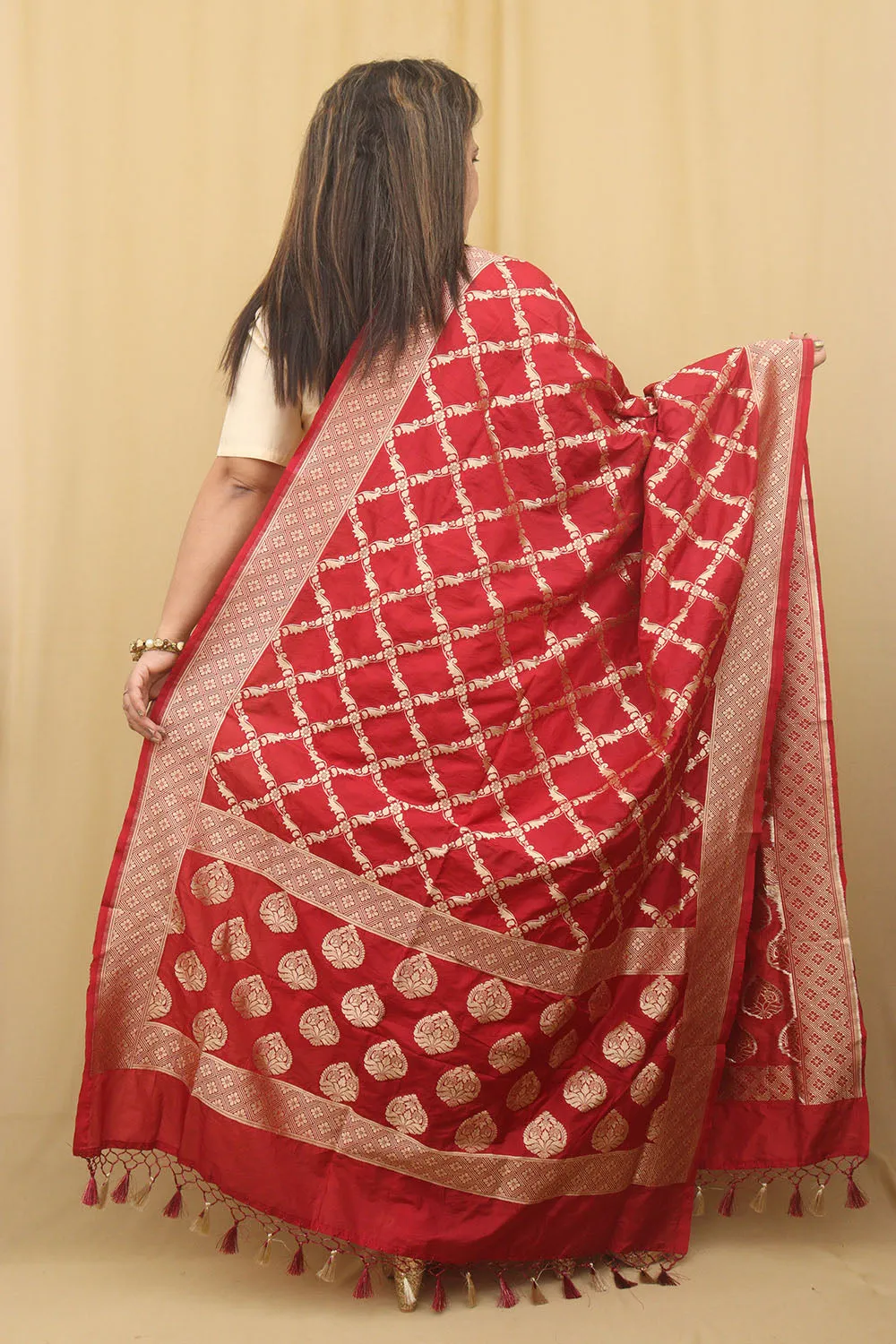 Timeless Elegance: Red Banarasi Silk Dupatta