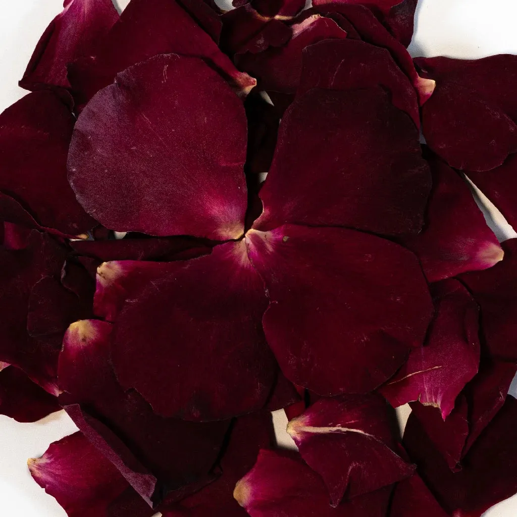 Wine Red Rose Dried Petals