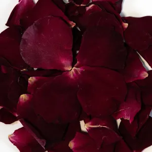 Wine Red Rose Dried Petals